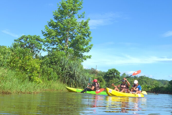 2 Hour Kayaking/Sup Session in Baddegama (Nature and Birdlife) - Nature and Birdlife