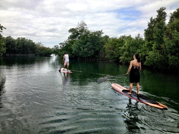 2 Hour Kayaking Tour Throughout Oleta River - Key Points