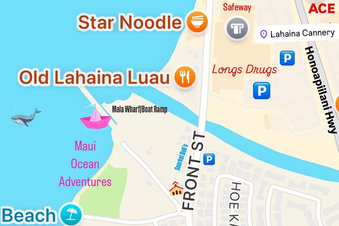 2 Hour Lahaina Sunrise Whale Watch - Whale Watching Experience