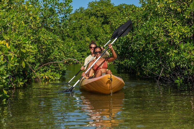 2 Hour Mangrove Kayak and Snorkel Tour - Practical Details