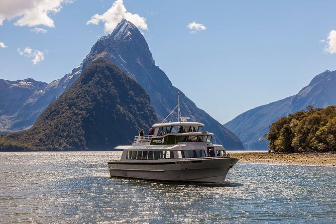 2-Hour Milford Sound Scenic Cruise - Wildlife Encounters
