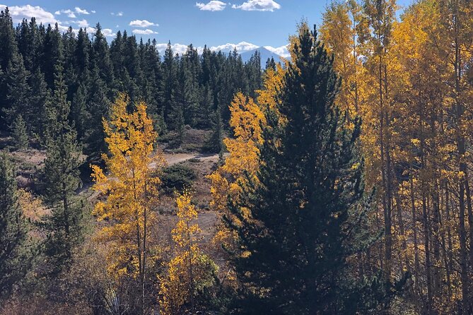 2-Hour Mineral Belt Guided E-Bike Tour in Leadville - Meeting and Arrival Details