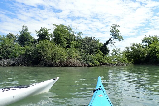 2 Hour Night Kayak Tour in Venice, Premium Experience With Sunset - Accessibility Considerations