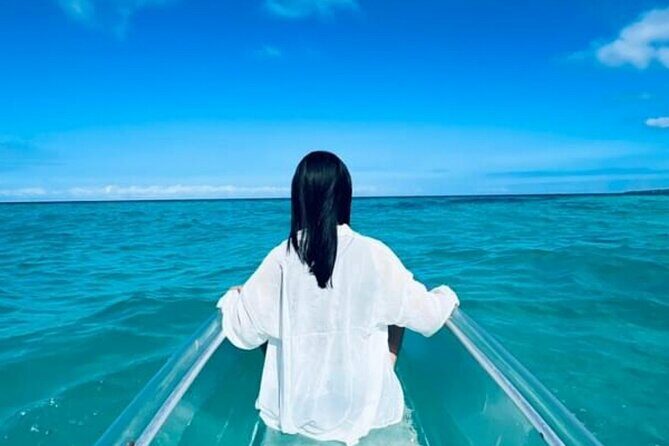 2-Hour or 4-Hour Self Guided Clear Kayak Tours in Oahu - The Practical Details
