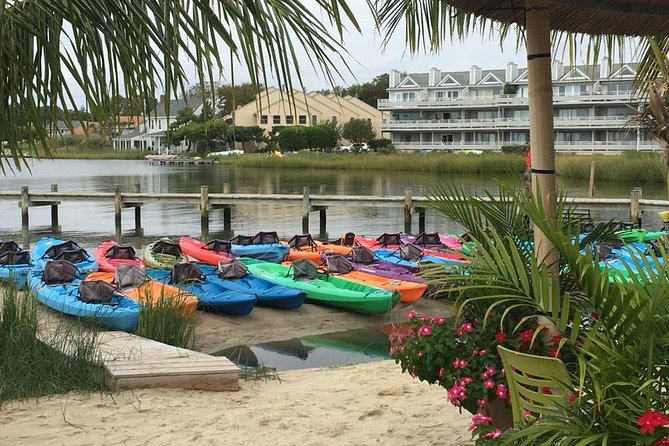 2-Hour Paddleboard Rental in Rehoboth Bay - Pricing and Cancellation
