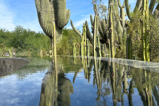 2 Hour Photography Tour of Phoenix Desert Botanical Gardens - Customer Experience