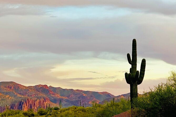 2 Hour Photography Tour of Phoenix Desert Botanical Gardens - Photography Tips