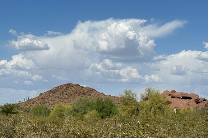 2 Hour Photography Tour of Phoenix Desert Botanical Gardens - Botanical Garden Highlights