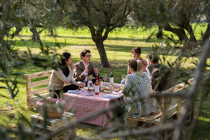 2-Hour Picnic Among the Olive Trees With Typical Abruzzese Products - Experience Overview