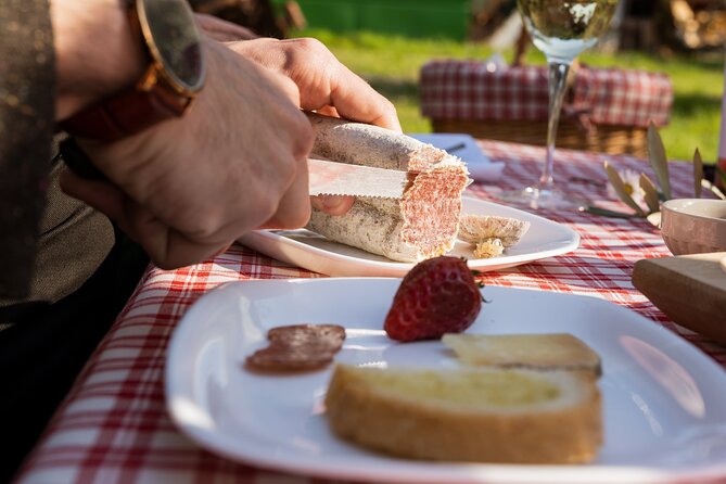 2-Hour Picnic Among the Olive Trees With Typical Abruzzese Products - Accessibility and Recommendations