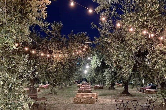2-Hour Picnic at the Chair of the Moon in Santa Maria Imbaro - Key Points