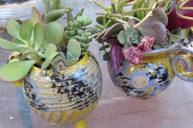 2- Hour Pottery Workshop and Studio Tour in Ojai - Studio Tour and Pottery Demonstration