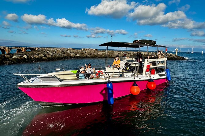 2 Hour Prime Time Maui Whale Watching - Accessibility and Capacity