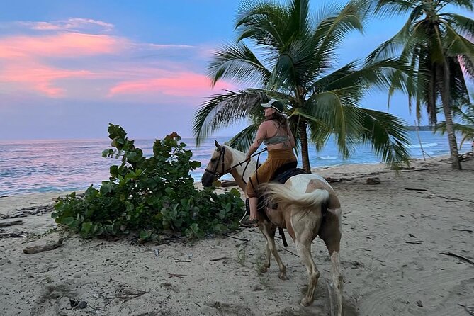 2 Hour Private Beach Horse Back Riding in Puerto Viejo - Horse and Riding Experience