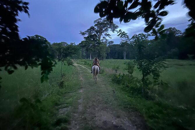 2 Hour Private Beach Horse Back Riding in Puerto Viejo - Accessibility and Restrictions