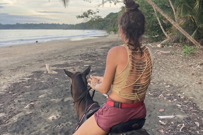 2 Hour Private Beach Horse Back Riding in Puerto Viejo - Equipment and Gear