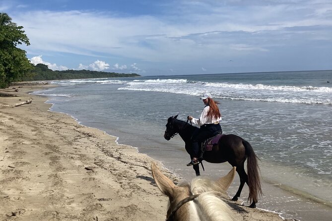 2 Hour Private Beach Horse Back Riding in Puerto Viejo - Booking and Pricing Information