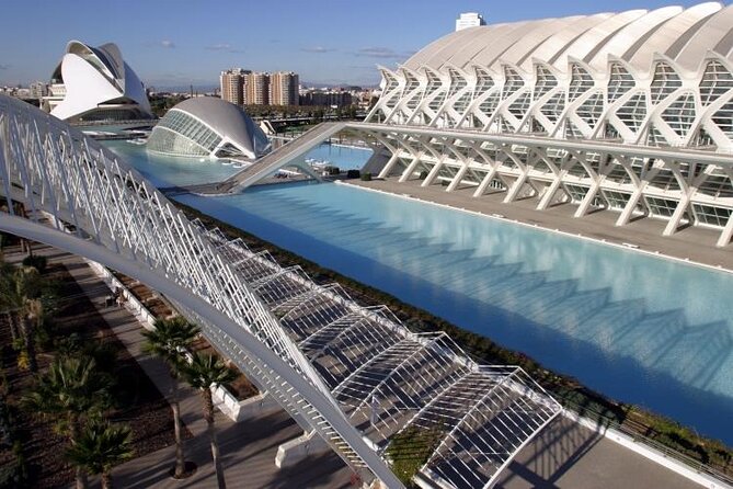 2 Hour Private Bike Tour in Valencia - Accessibility and Suitability