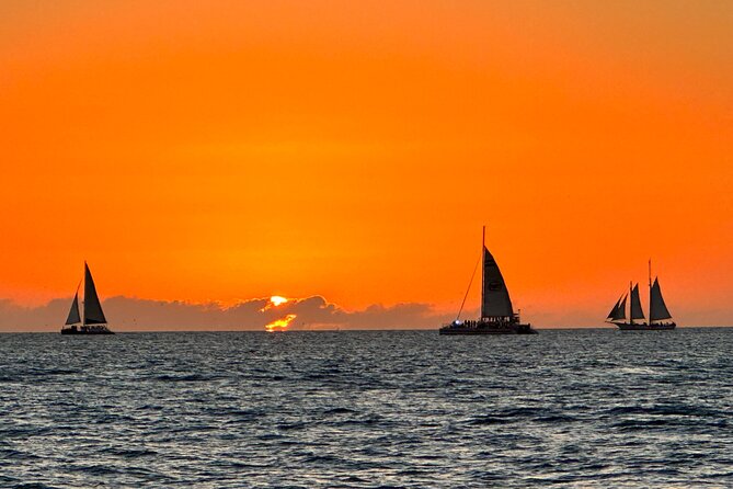 2 Hour Private Dolphin and Sightseeing Tour in Shell Island - Dolphin Sightings