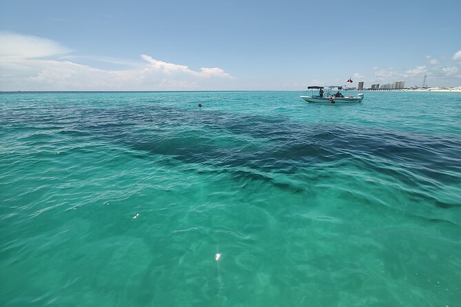 2-Hour Private Dolphin Sightseeing Adventure - Memorable Moments and Testimonials