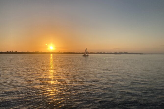 2 Hour Private Dolphin Sightseeing Tour - Inclusions and Accessibility