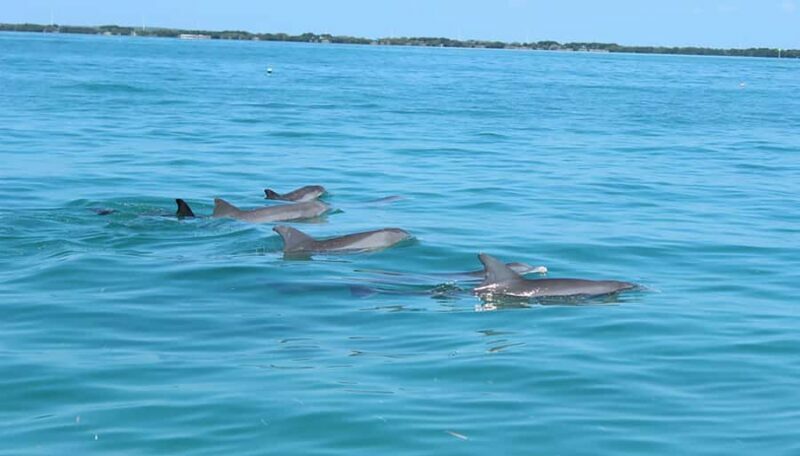 2 Hour Private Eco-Tour - The Practicalities: What’s Included and What to Know