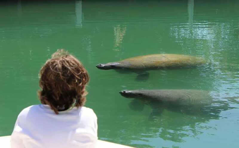 2 Hour Private Eco-Tour - What the Reviews Say