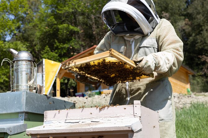 2-Hour Private Guided Activity Discovering Bees in Volterra - Location and Accessibility