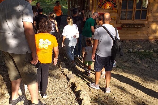 2-Hour Private Guided Activity Discovering Bees in Volterra - What to Expect During the Tour