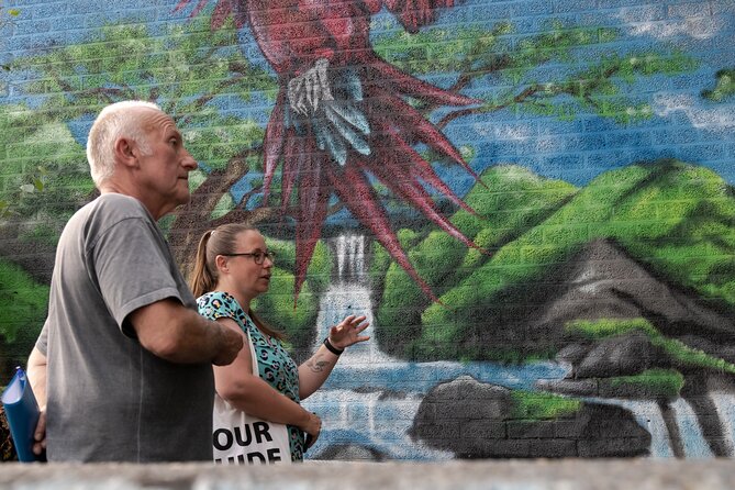 2 Hour Private Guided Mural Street Art Tour in Arnhem - Explore Arnhems Vibrant Murals