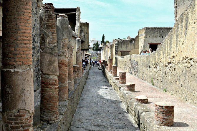 2-Hour Private Guided Tour of Herculaneum - Tips for Navigation