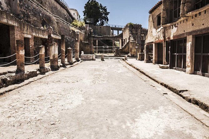 2-Hour Private Guided Tour of Herculaneum - Pompeii Visit Recommendations