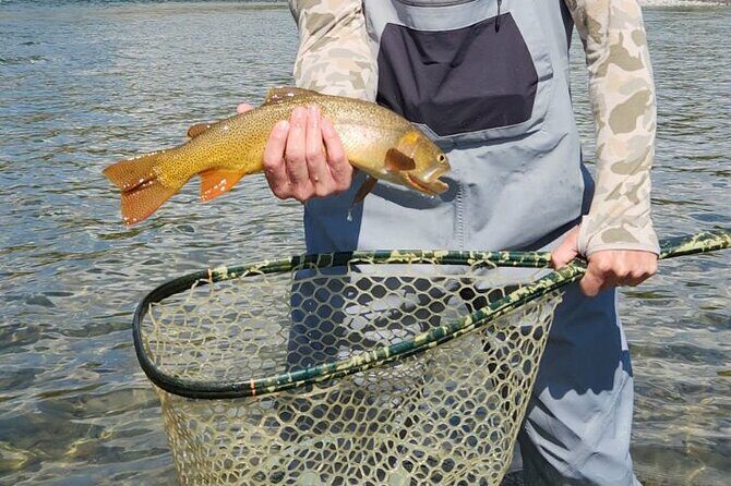 2 Hour Private Guided Walk Wade Fishing at Jackson Hole - What to Expect from the Jackson Hole Wade Fishing Tour