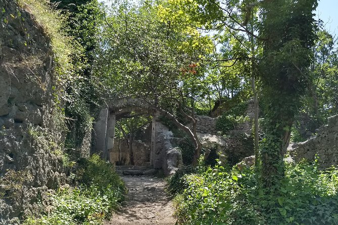 2-Hour Private Hiking Tour Helenental Castles Hike From Vienna - Booking and Review Information