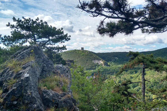 2-Hour Private Hiking Tour Helenental Castles Hike From Vienna - Frequently Asked Questions