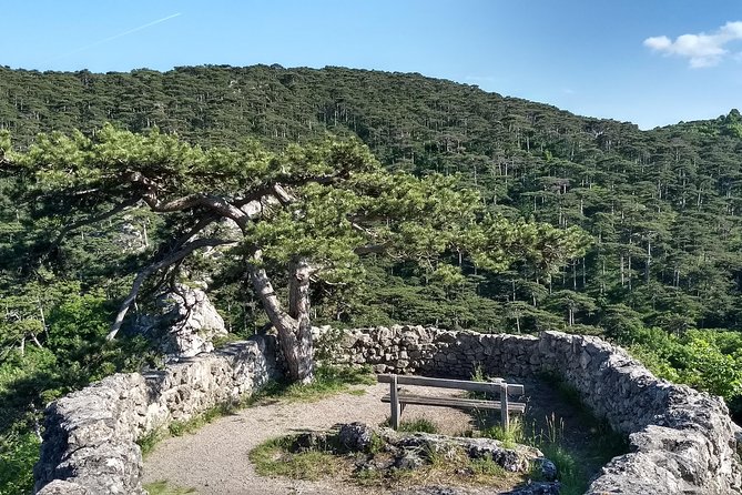 2-Hour Private Hiking Tour on Kalenderberg Mountain to Meet History From Vienna - Exploring Kalenderberg Mountain