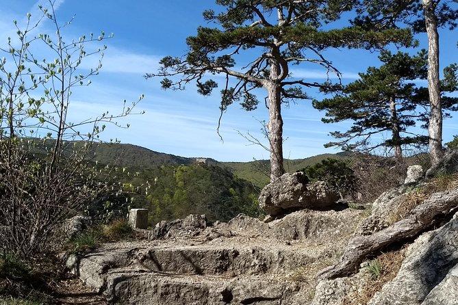 2-Hour Private Hiking Tour on Kalenderberg Mountain to Meet History From Vienna - Discovering Ruins and Caves