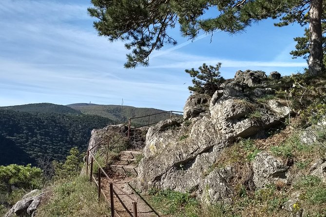 2-Hour Private Hiking Tour on Kalenderberg Mountain to Meet History From Vienna - Appreciation of Local Flora and Fauna