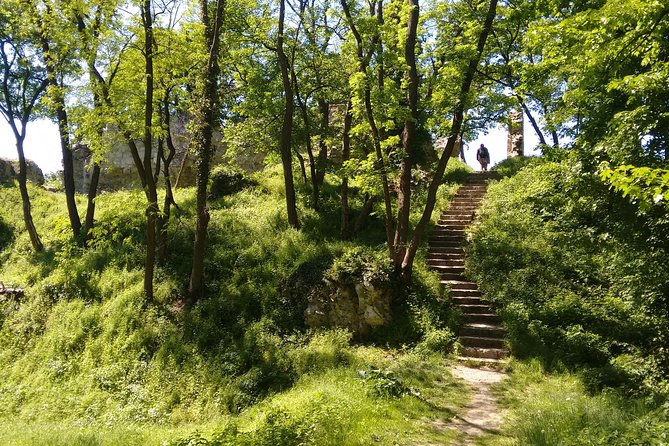 2-Hour Private Hiking Tour to Meet History at Braunsberg Mountain From Vienna - Meeting Details