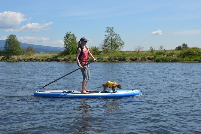 2-Hour Private Kayak or Paddleboard Tour in Cabarete La Boca - Exploring Cabarete La Boca