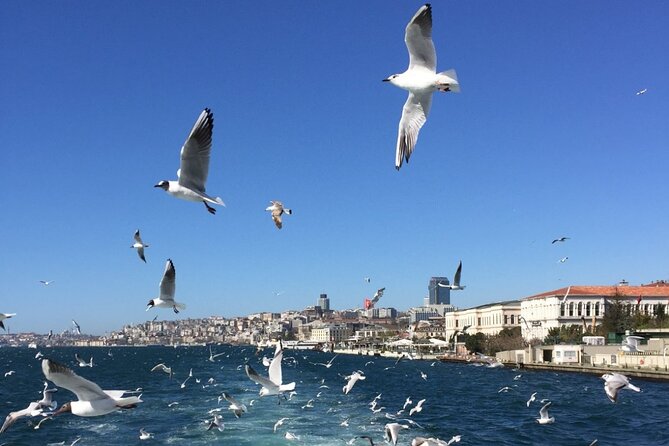 2-Hour Private Luxury Yacht Cruise on Bosphorus With Transfers - Customer Support and Assistance