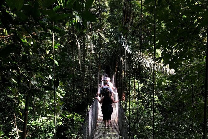 2-Hour Private Místico Hanging Bridges Naturalist Walk - Scenic Hanging Bridges