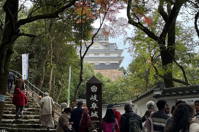 2 Hour Private Scenic Mountain Castle Tour in Gifu - Meeting and Pickup