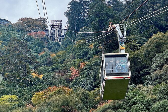2 Hour Private Scenic Mountain Castle Tour in Gifu - Inclusions