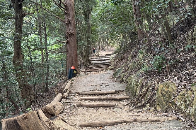 2 Hour Private Scenic Mountain Castle Tour in Gifu - Memorable Highlights