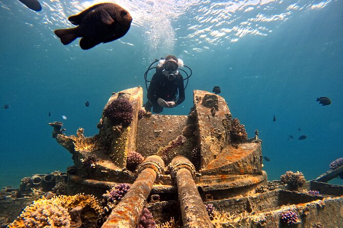 2-Hour Private Scuba Experience in Aqaba - Participant Eligibility and Accessibility