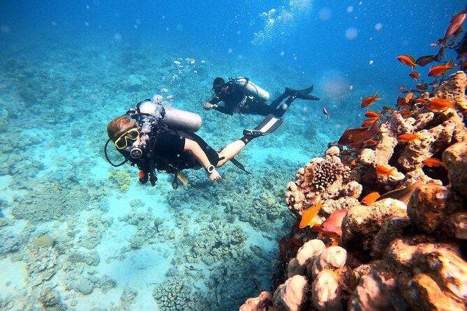 2-Hour Private Scuba Experience in Aqaba - Cancellation and Refund Policy
