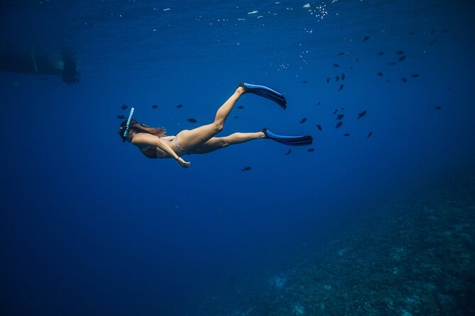2 Hour Private Snorkeling Experience to Molokini From Kihei - Meeting and Pickup