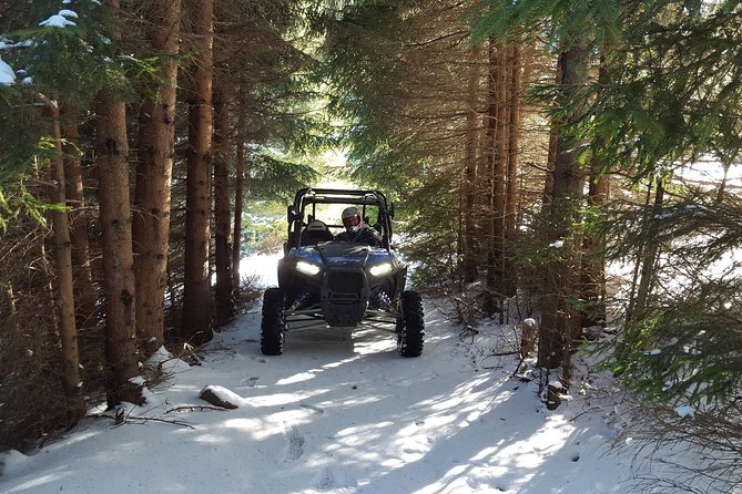 2 Hour Private Superb Buggy Adventure - Meeting and Pickup