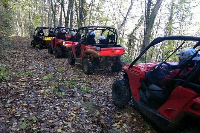 2 Hour Private Superb Buggy Adventure - Safety Considerations